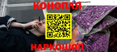 сатива Белореченск
