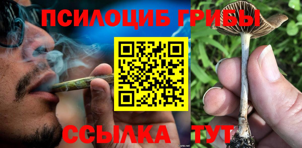 Галлюциногенные грибы Cubensis Тосно