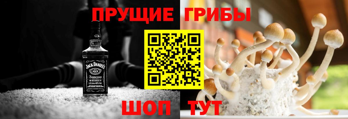 Тосно  даркнет сайт  Вход с VPN  Галлюциногенные грибы Magic Shrooms  Галлюциногенные грибы Magic Shrooms 
